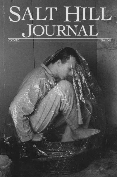 Salt Hill Journal 1 Stephen King Dino
