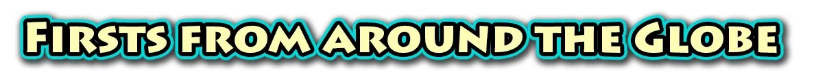 Header Advertise Header Advertise